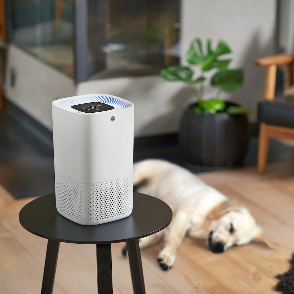 Wilfa Air Purifier FRESH